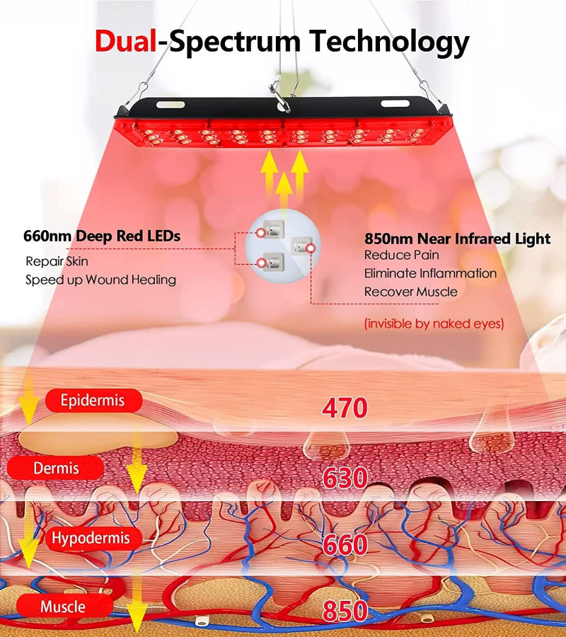 아스타렉신 레드 라이트 테라피 램프, 660nm & 8 - Red Light Therapy Torch 660Nm 리뷰 및 가격