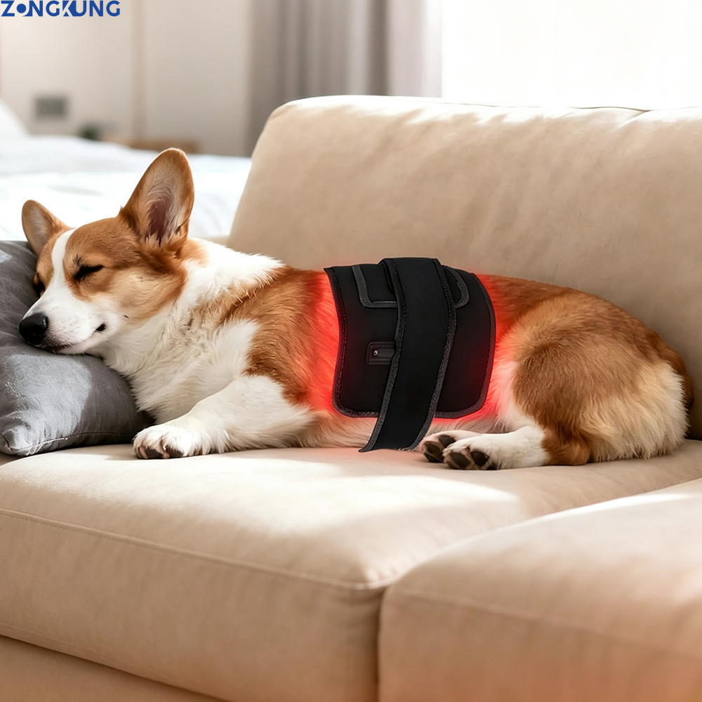 반려동물용 레드 라이트 테라피 기기, 휴대용 적외선 라 - Red Light Therapy Panel 660 850 리뷰 및 가격