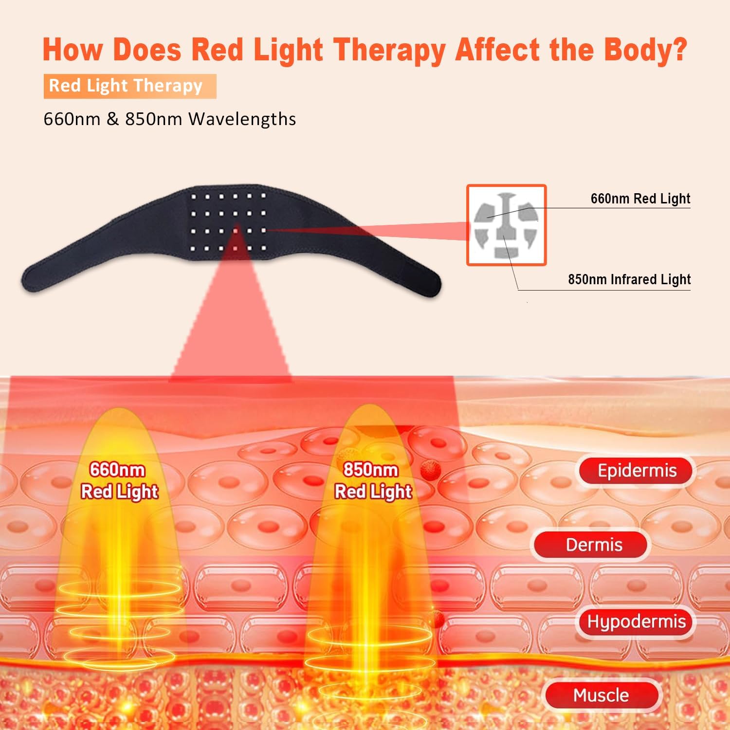 660nm 적색광 적외선 850nm 치료 벨트 목 24 - Red Light Therapy Panel 660 850 리뷰 및 가격