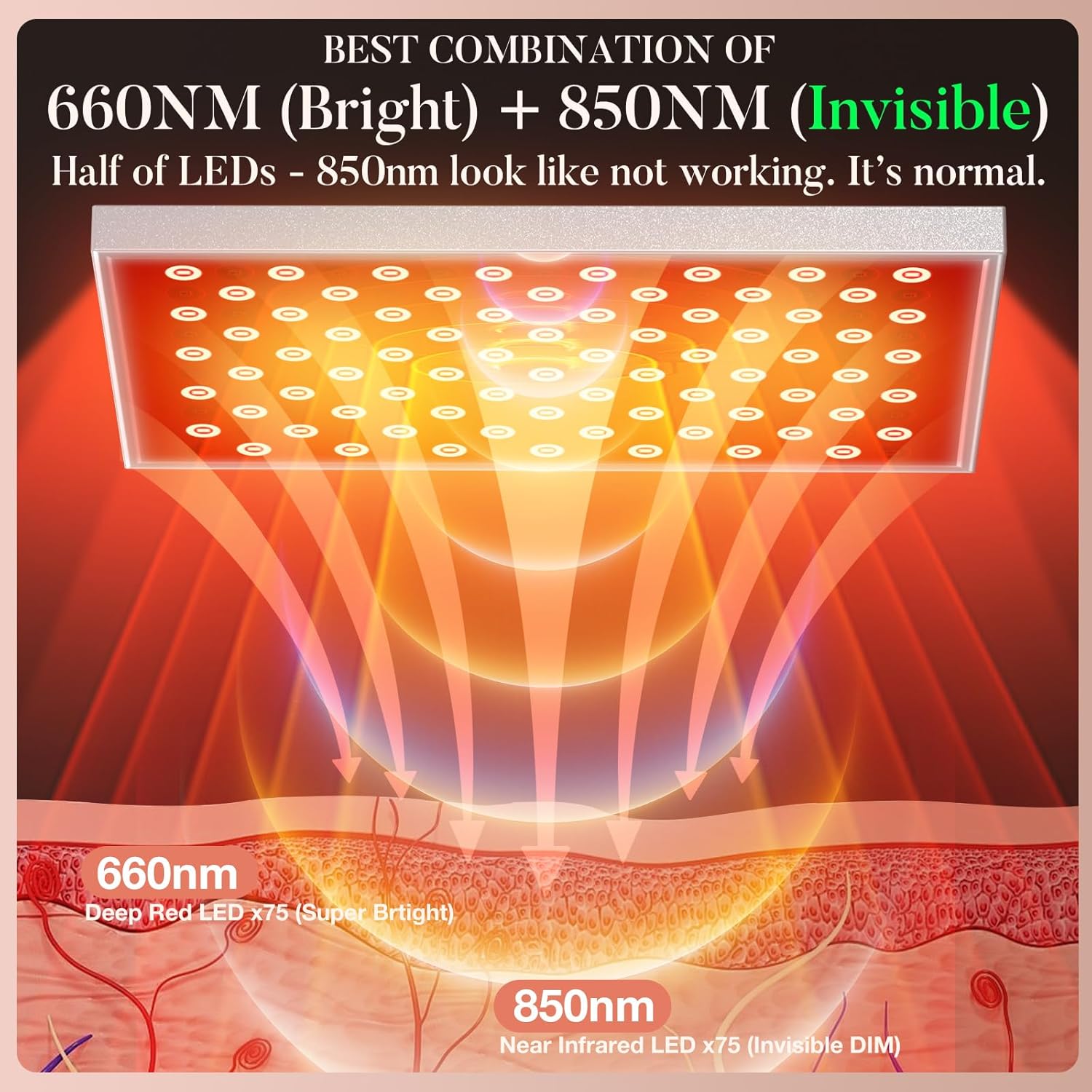 레드 라이트 테라피 바디용 적외선 라이트 테라피 패널  - Red Light Therapy Torch 660Nm 리뷰 및 가격